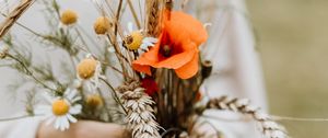 Preview wallpaper bouquet, flowers, spikelets, poppy, daisies