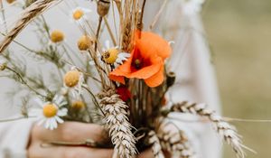 Preview wallpaper bouquet, flowers, spikelets, poppy, daisies