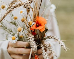 Preview wallpaper bouquet, flowers, spikelets, poppy, daisies