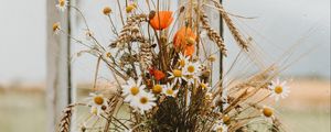 Preview wallpaper bouquet, flowers, spikelets, daisies, poppies