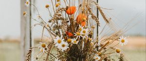 Preview wallpaper bouquet, flowers, spikelets, daisies, poppies