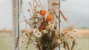 Preview wallpaper bouquet, flowers, spikelets, daisies, poppies