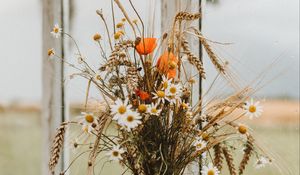 Preview wallpaper bouquet, flowers, spikelets, daisies, poppies