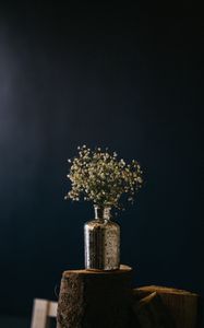Preview wallpaper bouquet, flowers, vase, decoration