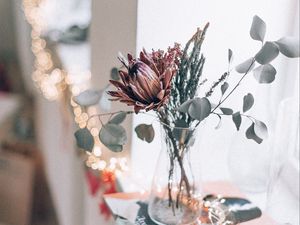 Preview wallpaper bouquet, flowers, vase, decor, light