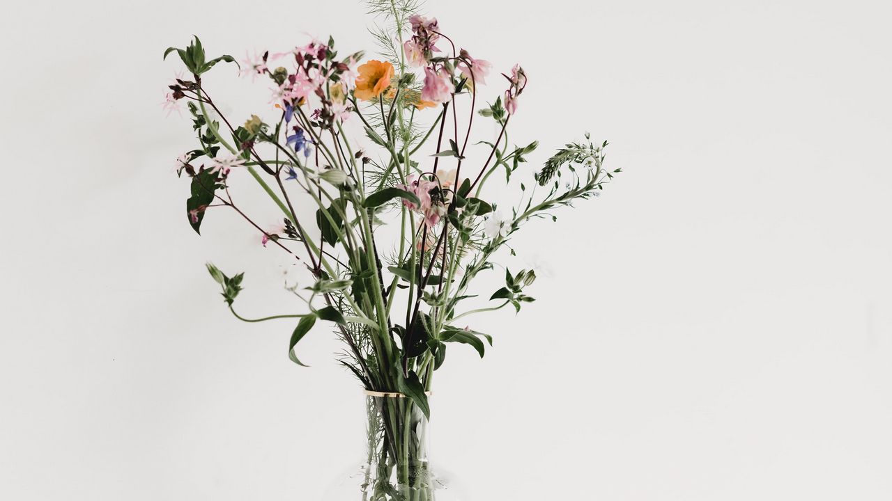 Wallpaper bouquet, flowers, vase, composition, aesthetics