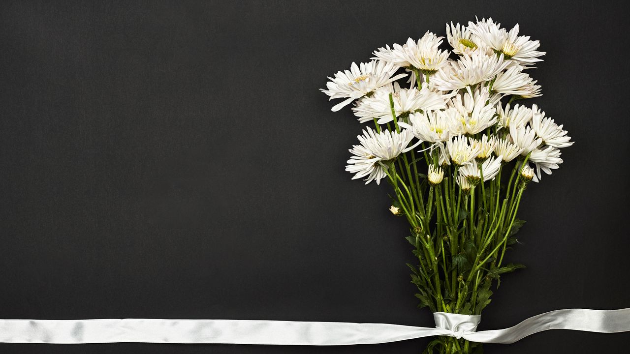 Wallpaper bouquet, flowers, white, ribbon