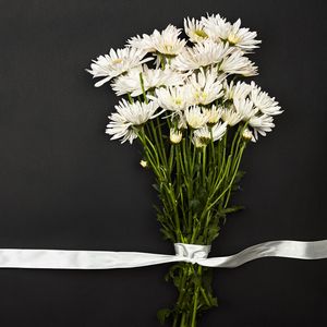 Preview wallpaper bouquet, flowers, white, ribbon
