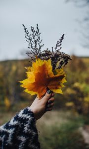 Preview wallpaper bouquet, leaves, branches, hand, autumn