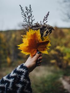 Preview wallpaper bouquet, leaves, branches, hand, autumn