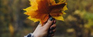 Preview wallpaper bouquet, leaves, branches, hand, autumn