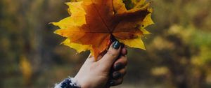 Preview wallpaper bouquet, leaves, branches, hand, autumn