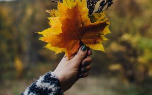 Preview wallpaper bouquet, leaves, branches, hand, autumn