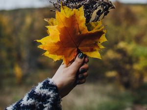 Preview wallpaper bouquet, leaves, branches, hand, autumn