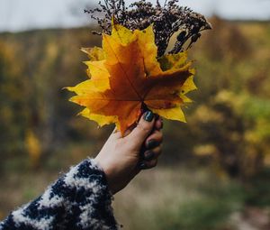 Preview wallpaper bouquet, leaves, branches, hand, autumn