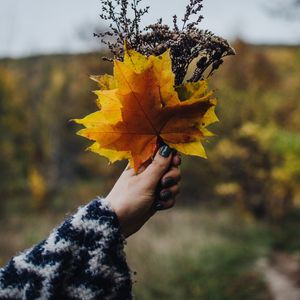 Preview wallpaper bouquet, leaves, branches, hand, autumn