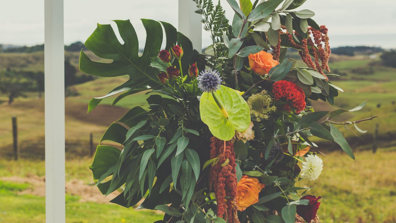 Wallpaper bouquet, leaves, flowers, aesthetics
