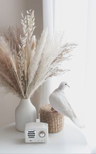 Preview wallpaper bouquet, radio, dove, decor, white