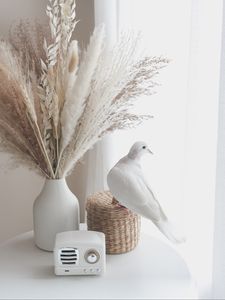 Preview wallpaper bouquet, radio, dove, decor, white