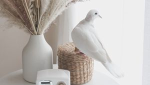 Preview wallpaper bouquet, radio, dove, decor, white