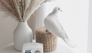 Preview wallpaper bouquet, radio, dove, decor, white