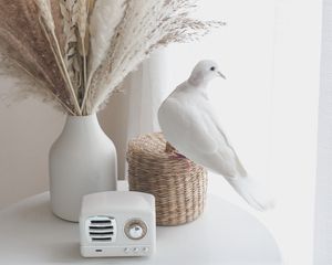 Preview wallpaper bouquet, radio, dove, decor, white