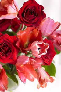 Preview wallpaper bouquet, red, pink, vase