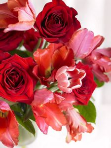 Preview wallpaper bouquet, red, pink, vase