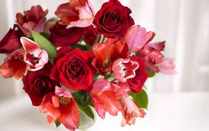 Preview wallpaper bouquet, red, pink, vase