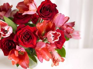 Preview wallpaper bouquet, red, pink, vase