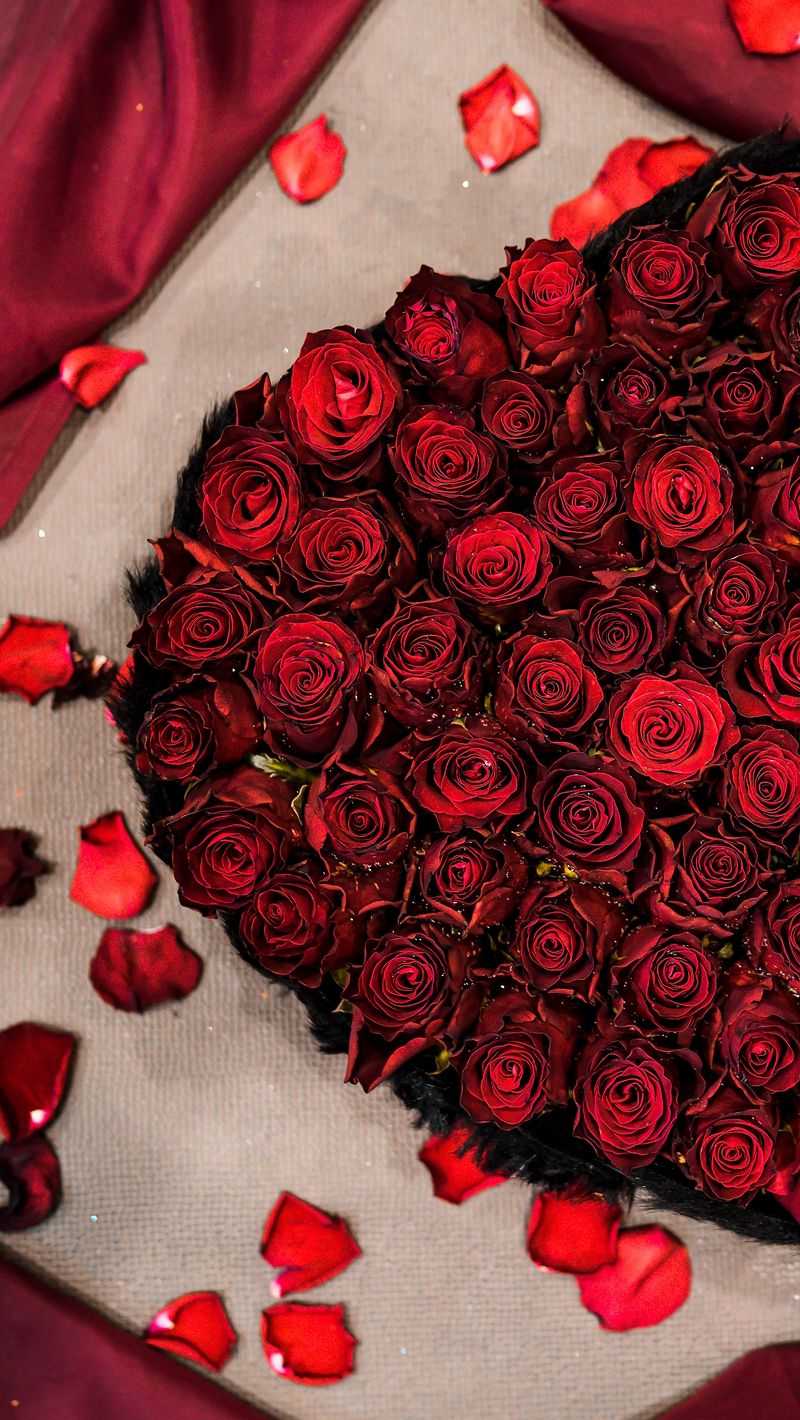 800x1420 Wallpaper bouquet, roses, composition, heart