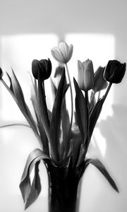 Preview wallpaper bouquet, tulips, flowers, vase, black and white