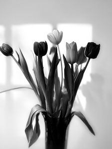 Preview wallpaper bouquet, tulips, flowers, vase, black and white