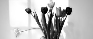 Preview wallpaper bouquet, tulips, flowers, vase, black and white