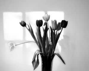 Preview wallpaper bouquet, tulips, flowers, vase, black and white