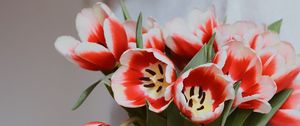 Preview wallpaper bouquet, tulips, red, flowers