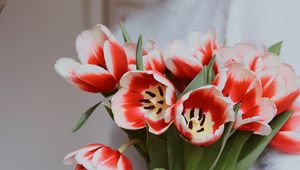 Preview wallpaper bouquet, tulips, red, flowers