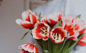 Preview wallpaper bouquet, tulips, red, flowers