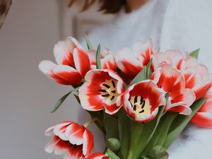 Preview wallpaper bouquet, tulips, red, flowers