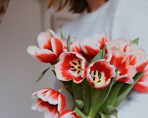 Preview wallpaper bouquet, tulips, red, flowers