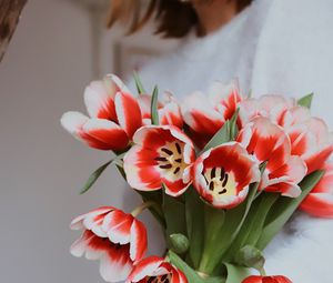 Preview wallpaper bouquet, tulips, red, flowers