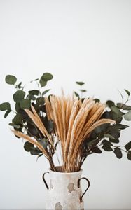 Preview wallpaper bouquet, vase, spikelets, branches, composition