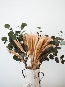 Preview wallpaper bouquet, vase, spikelets, branches, composition