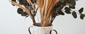 Preview wallpaper bouquet, vase, spikelets, branches, composition