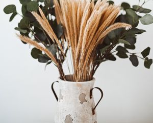 Preview wallpaper bouquet, vase, spikelets, branches, composition