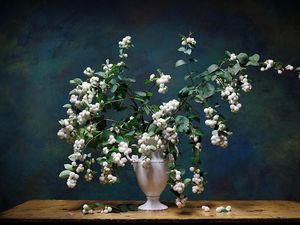 Preview wallpaper bouquet, vase, table, branches, leaves