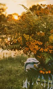 Preview wallpaper bouquet, wild flowers, flowers, sunlight