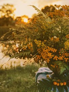 Preview wallpaper bouquet, wild flowers, flowers, sunlight