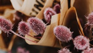 Preview wallpaper bouquets, flowers, purple, closeup