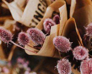 Preview wallpaper bouquets, flowers, purple, closeup